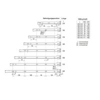 HOOZ Schubaldenf&uuml;hrung mit Teilauszug und Kugelf&uuml;hrung f&uuml;r Holzschubladen Schubladenschiene 30-55 cm