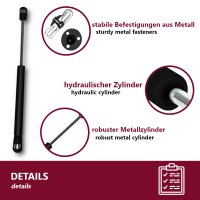 Gasdruckfeder f&uuml;r Klappen, T&uuml;ren &amp; Schr&auml;nke 100 Nm 10kg Druckkraft