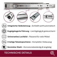 HOOZ&reg; Schubladenschienen 250 mm [VOLLAUSZUG - KUGELLAGER] &ndash; Teleskopschiene, Auszugsschienen f&uuml;r K&uuml;chenschr&auml;nke &amp; M&ouml;bel &ndash; bis 30 kg 1 Paar